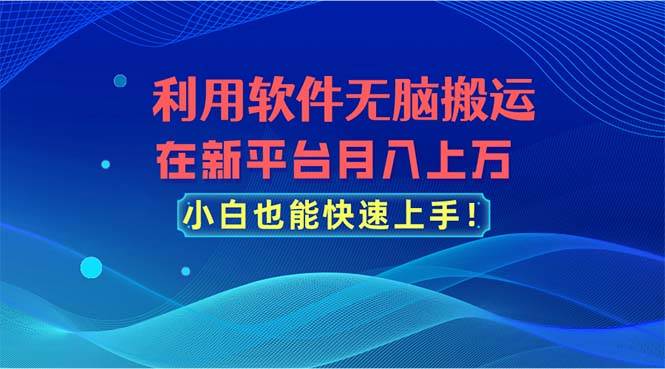 利用软件无脑搬运，在新平台月入上万，小白也能快速上手-IT吧