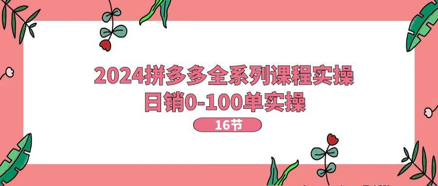 2024拼多多全系列课程实操，日销0-100单实操【16节课】-IT吧