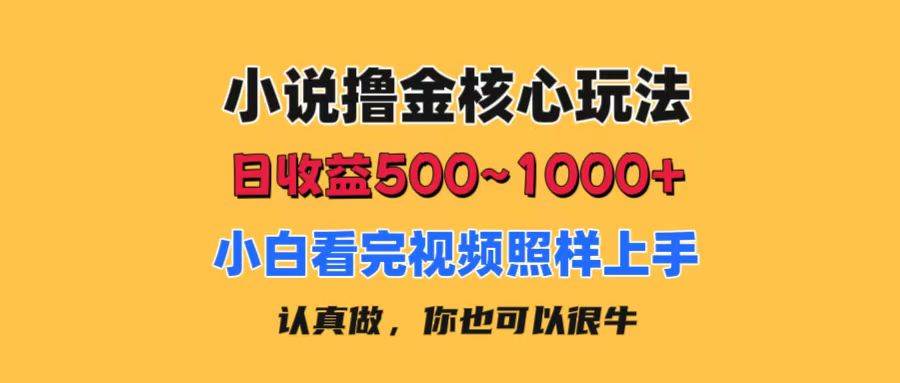 小说撸金核心玩法，日收益500-1000+，小白看完照样上手，0成本有手就行-IT吧