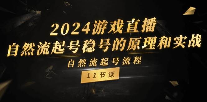 2024游戏直播-自然流起号稳号的原理和实战，自然流起号流程（11节）-IT吧