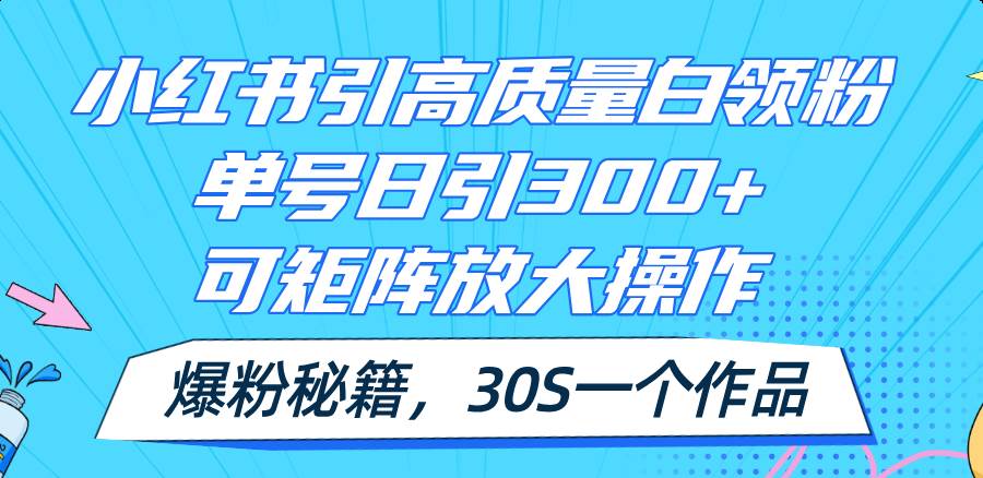 图片[1]-小红书引高质量白领粉，单号日引300+，可放大操作，爆粉秘籍！30s一个作品-IT吧