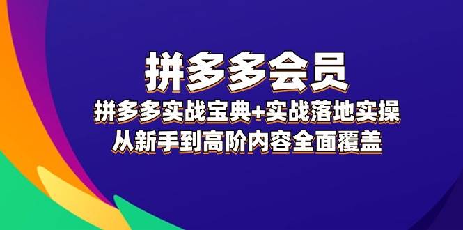 拼多多 会员，拼多多实战宝典+实战落地实操，从新手到高阶内容全面覆盖-IT吧