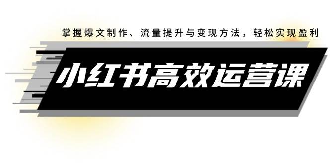 小红书高效运营课：掌握爆文制作、流量提升与变现方法，轻松实现盈利-IT吧