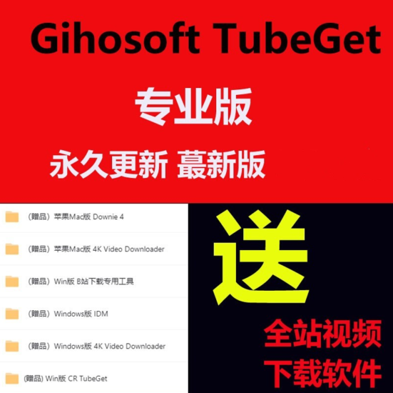 Gihosoft TubeGet 专业版Pro/视频下载软件/在线视频网站下载工具-IT吧