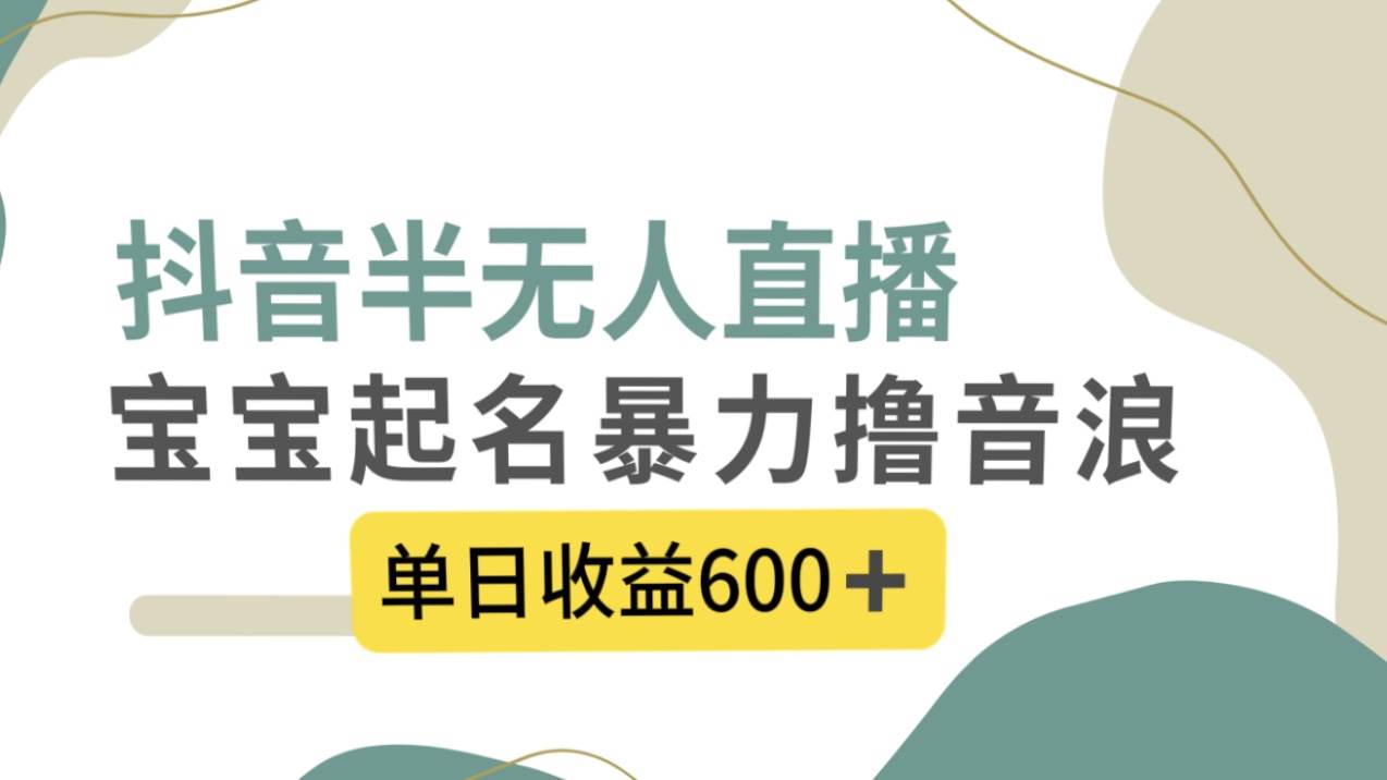 抖音半无人直播，宝宝起名，暴力撸音浪，单日收益600-IT吧