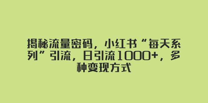 揭秘流量密码，小红书“每天系列”引流，日引流1000 ，多种变现方式-IT吧