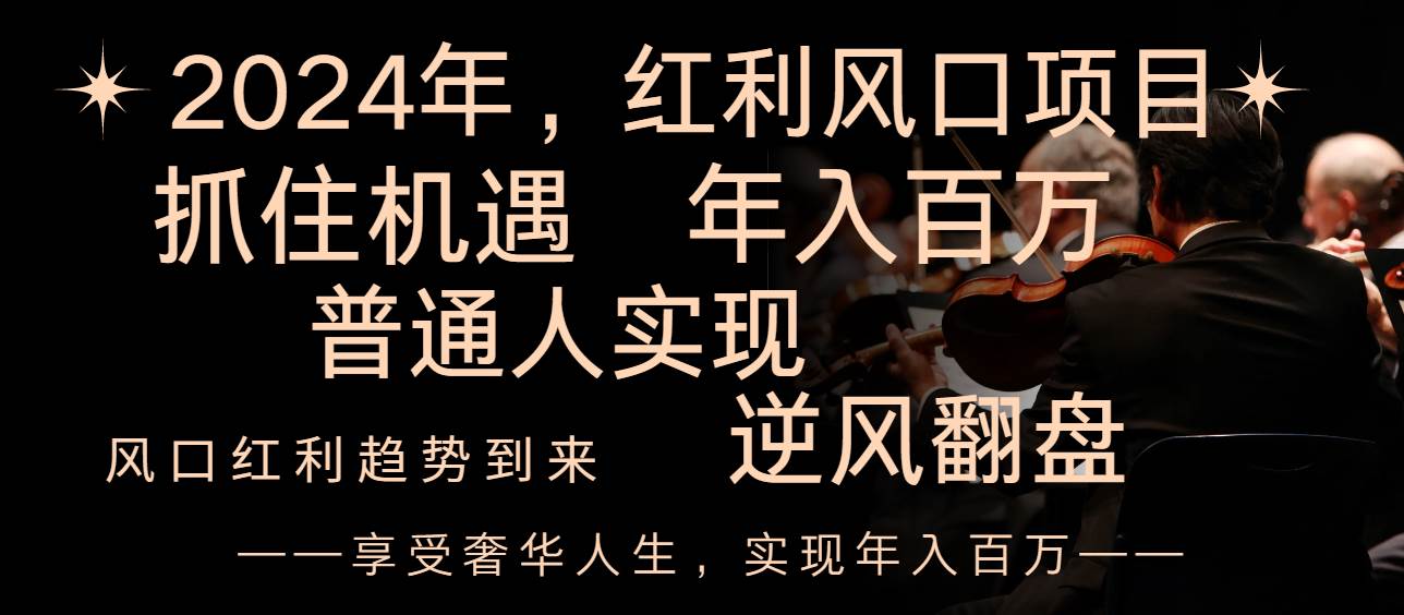 2024红利风口项目来袭，享受第一波红利，逆风翻盘普通人也能实现，年入百万-IT吧