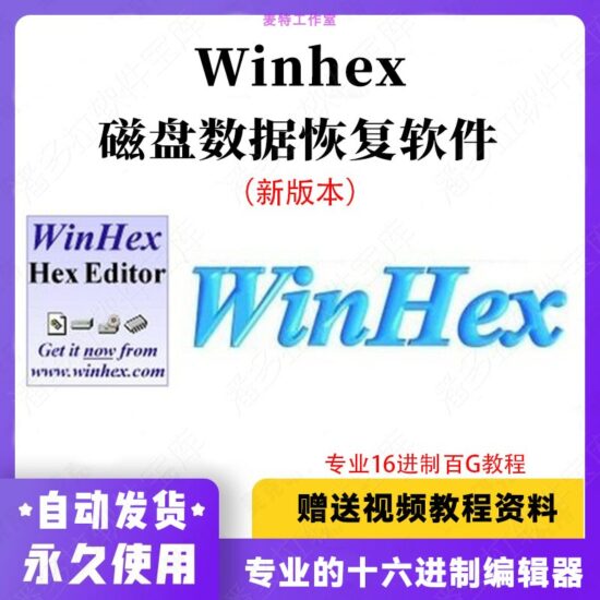 Winhex 20.6 专家版激活/磁盘数据恢复/中文版软件/赠送中文教程-IT吧