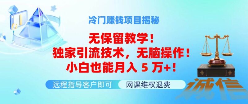 冷门赚钱项目无保留教学！独家引流技术，无脑操作！小白也能月入5万+！-IT吧