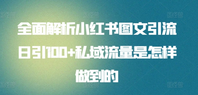 全面解析小红书图文引流日引100私域流量是怎样做到的-IT吧