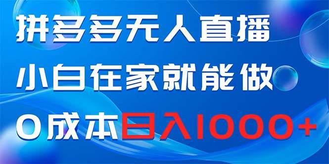 拼多多无人直播，小白在家就能做，0成本日入1000-IT吧