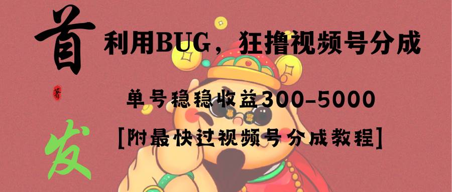 全网独家首发，视频号BUG，超短期项目，单号每日净收益300-5000！-IT吧