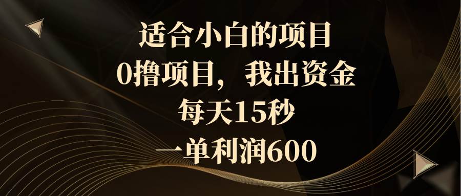 适合小白的项目，0撸项目，我出资金，每天15秒，一单利润600-IT吧