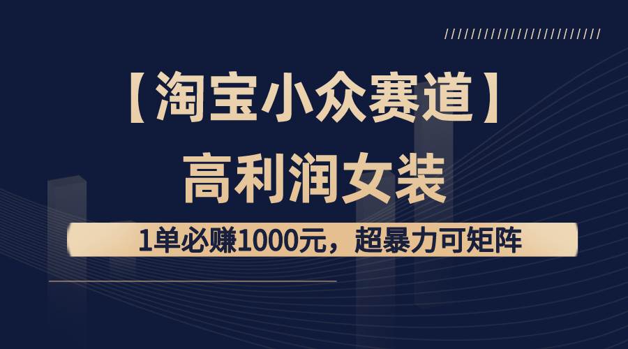 【淘宝小众赛道】高利润女装：1单必赚1000元，超暴力可矩阵-IT吧