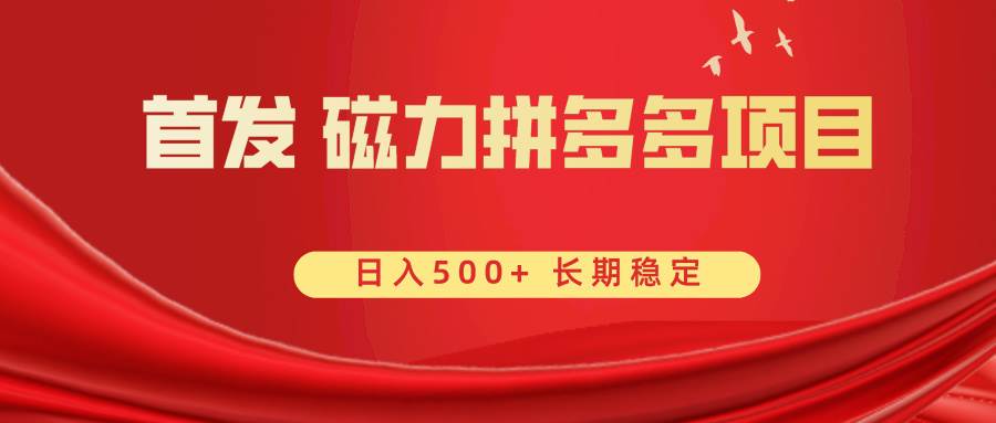 首发 磁力拼多多自撸  日入500-IT吧