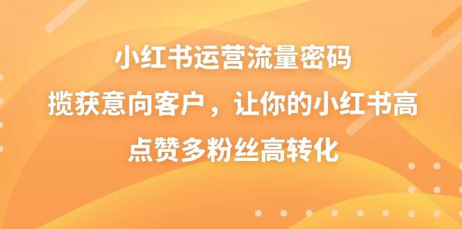 小红书运营流量密码，揽获意向客户，让你的小红书高点赞多粉丝高转化-IT吧